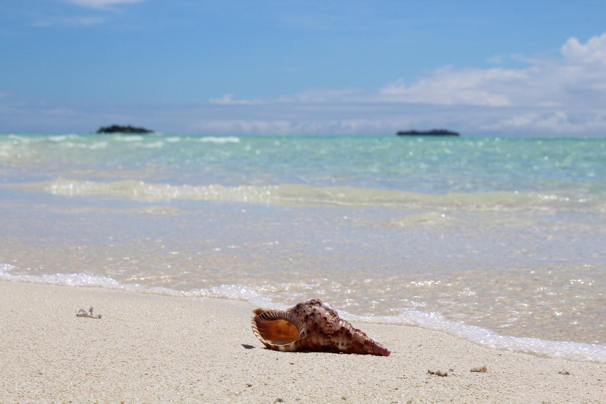 Mamello Beach Club Maldives Feridhoo Εξωτερικό φωτογραφία