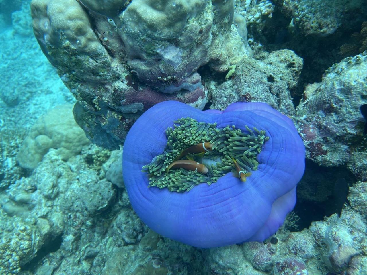 Mamello Beach Club Maldives Feridhoo Εξωτερικό φωτογραφία