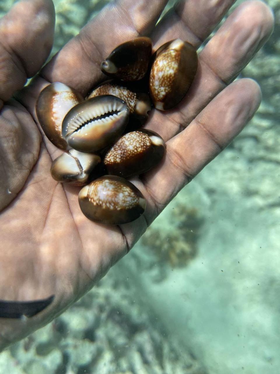 Mamello Beach Club Maldives Feridhoo Εξωτερικό φωτογραφία
