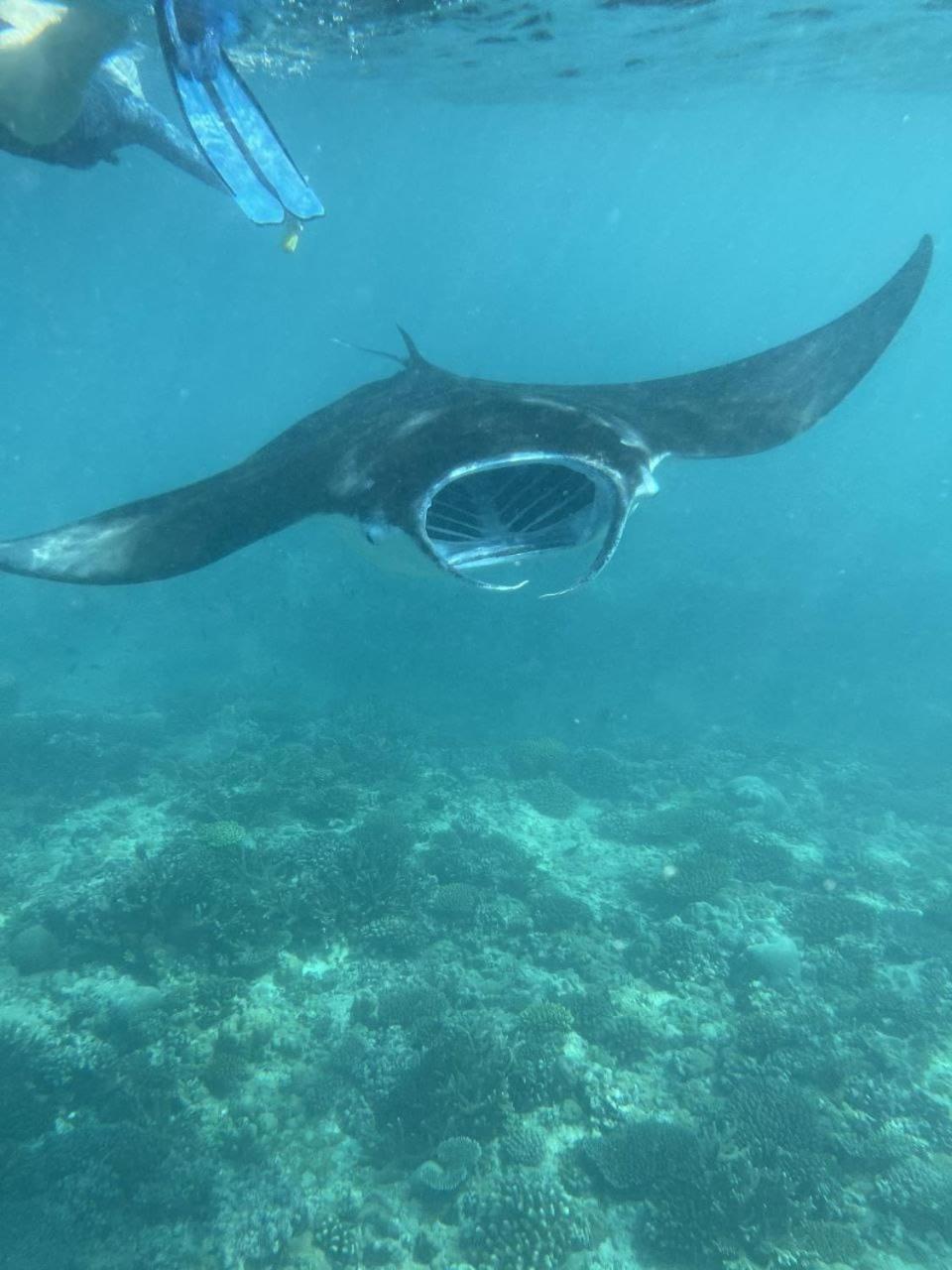 Mamello Beach Club Maldives Feridhoo Εξωτερικό φωτογραφία