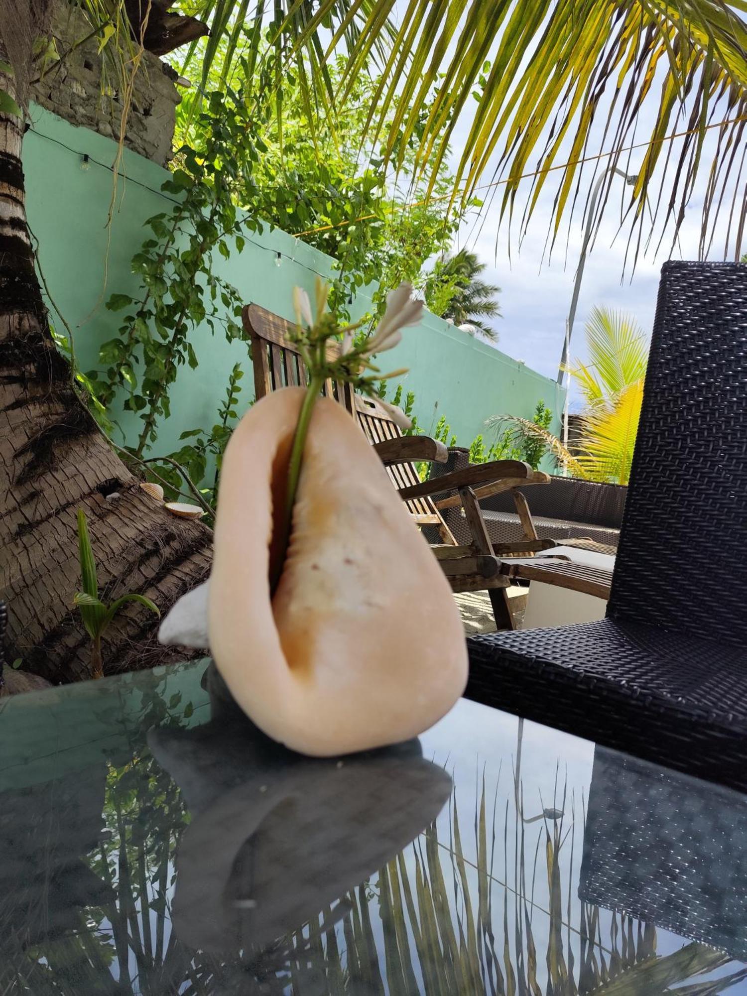 Mamello Beach Club Maldives Feridhoo Εξωτερικό φωτογραφία